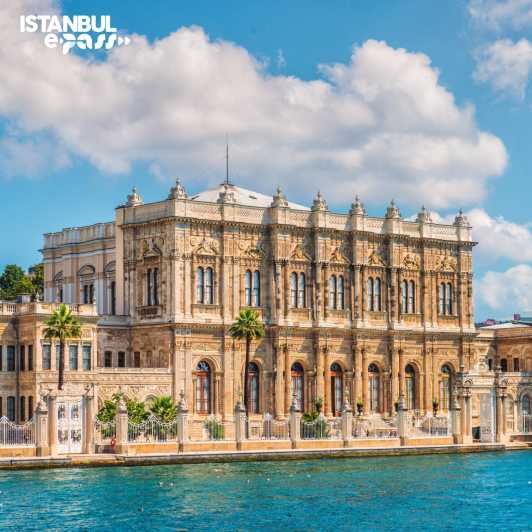 Istanbul: Dolmabahce Palace & Harem Skip-the-Line Entry - How skip-the-line works at the gate, and what it does not change