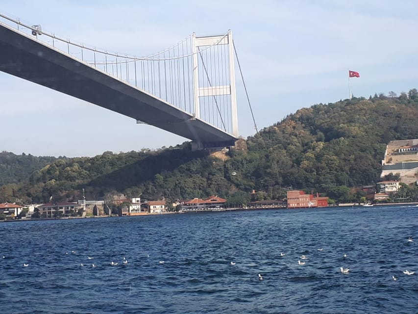 Istanbul: Full-Day City Tour with Bosphorus Cruise and Lunch - Price and what you actually get for $75