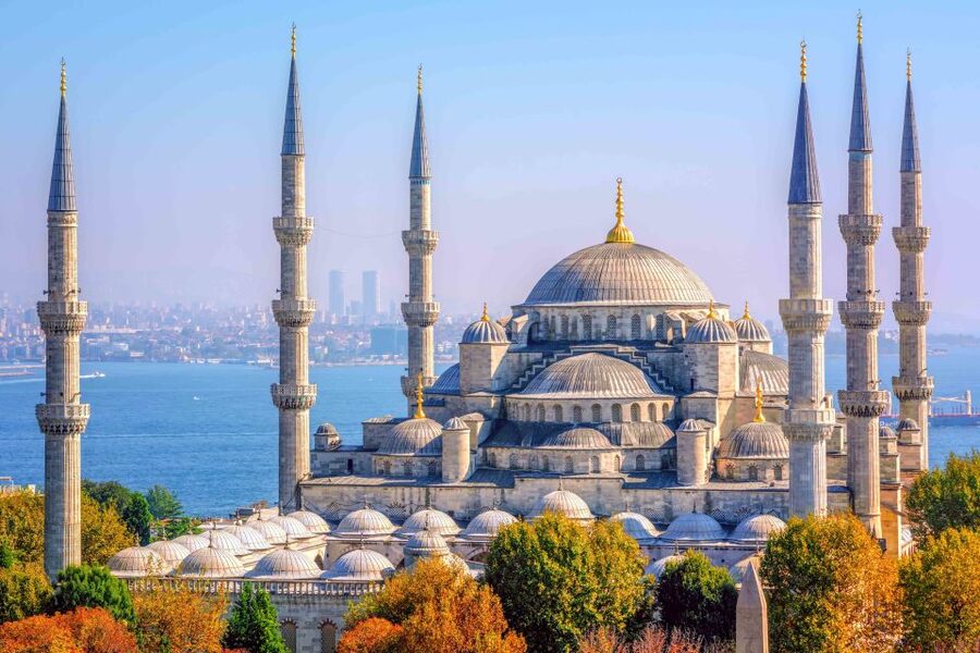 Istanbul: Full-Day Guided Tour - Şerefiye Cistern after lunch, why this stop is a favorite