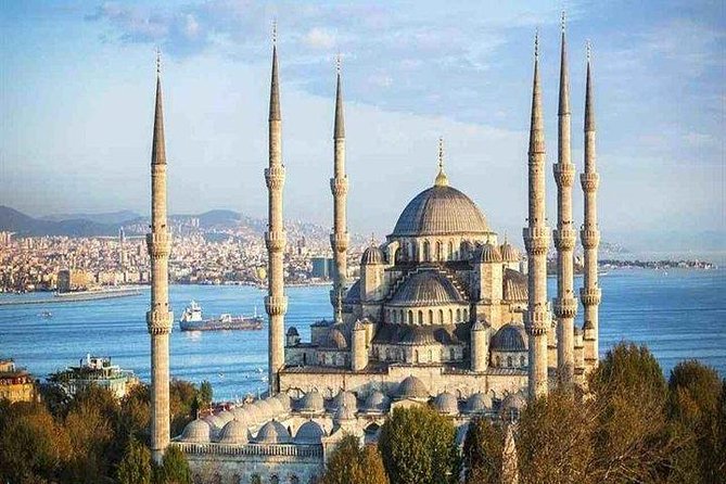 ISTANBUL: Full-Day Private Tour with Top Attractions - Topkapi Palace: Ottoman Power, Palace-Scale Walking, Extra Ticket Needed