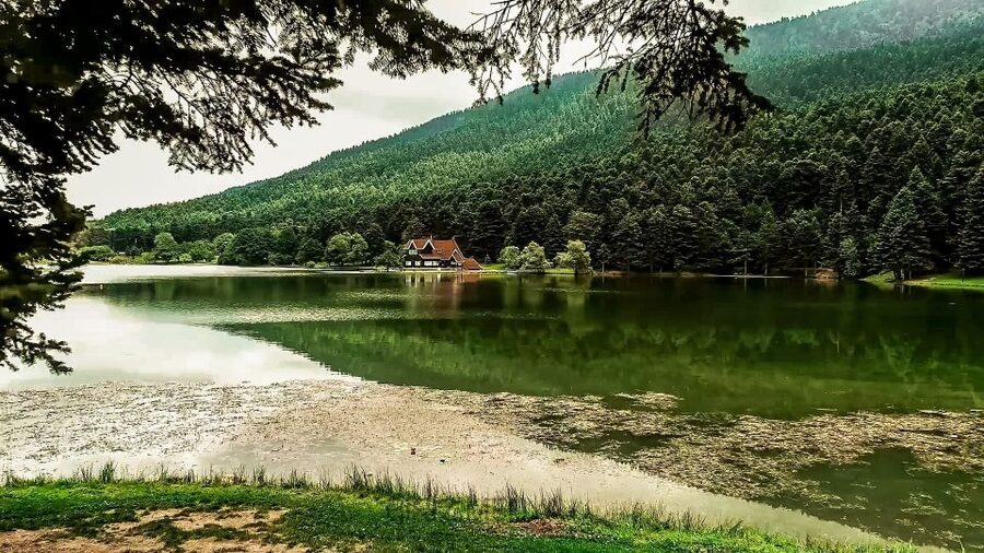 Istanbul: Full-Day Sapanca Lake and Masukiye Tour with Lunch - The Istanbul pickup: convenient, but expect the day to move
