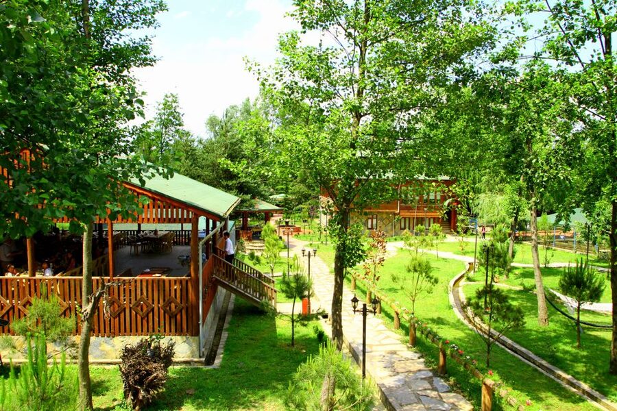 Istanbul: Full-Day Sapanca Lake and Masukiye Tour with Lunch - Sapanca Lake free time: your payoff, but manage your expectations