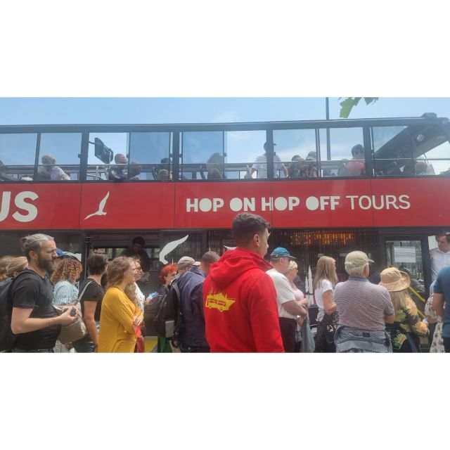 Istanbul Hop On Hop Off Bus24 Hours Ticket - Onboard experience: audio guide support, English greeter, and skip-the-line perks