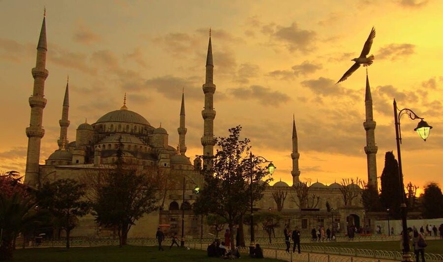 Istanbul: Old City Full-Day Tour -(Entry Fees Inculucing) - Blue Mosque: Iznik tiles up close, and the visual payoff