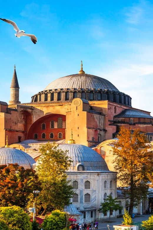Istanbul: Old City Full-Day Tour -(Entry Fees Inculucing) - Sultans Tombs near St. Sophia: beautiful ceramics, and possible closures