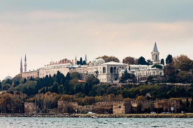 Istanbul Ottoman Tour: Topkapi Palace and Blue Mosque - Topkapi Palace in 90 minutes: where you will focus and what you might skip