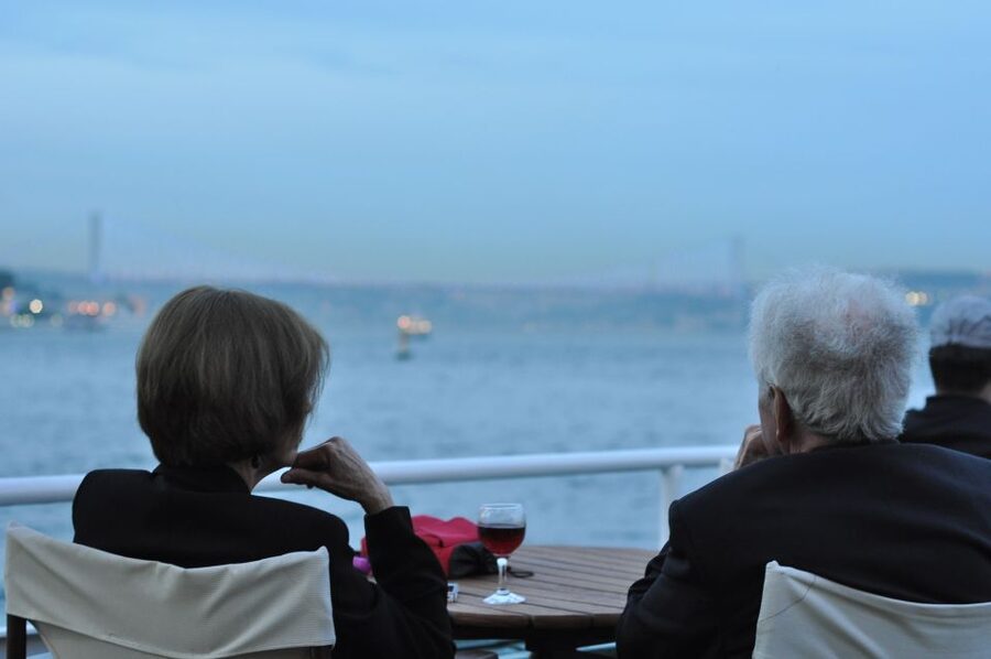 Istanbul: Pasha Istanbul Dinner Cruise - The 3-Course Dinner: What You Should Expect at a Shared Table