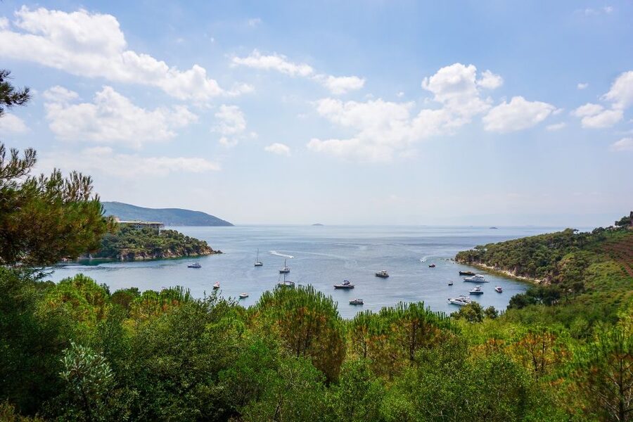 Istanbul: Princes' Islands Cruise w/Music, Lunch & Transfer - Kınalıada walking tour: a small dose of guidance, then real freedom