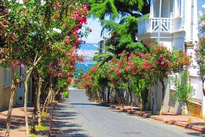 Istanbul: Princes Islands Tour with Heybeliada and Buyukada - Büyükada: mansions, viewpoints, and why this is the main stop