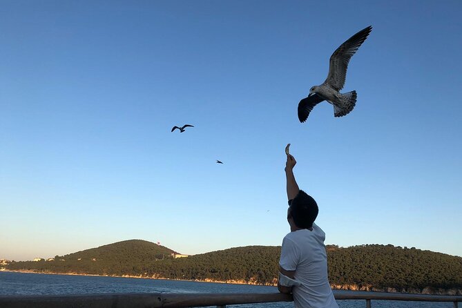 Istanbul: Princes Islands Tour with Heybeliada and Buyukada - The guided story, and why it helps more than you expect