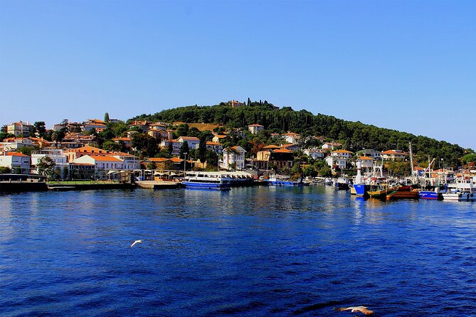 Istanbul: Princes Islands Tour with Heybeliada and Buyukada - When the shopping stop and photo sales come into play
