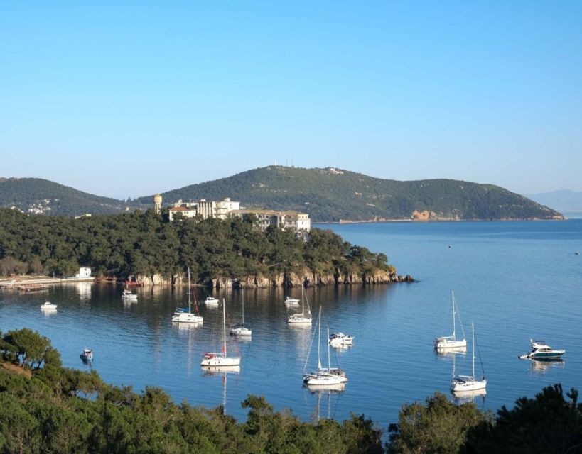 Istanbul: Princes' Islands Tour with Lunch and Transfers - Buyukada walk, swim, and optional electric car (about 25 minutes)