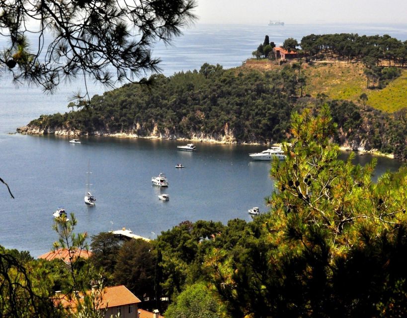 Istanbul: Princes' Islands Tour with Lunch and Transfers - Guides, language, and the reality of a fun day trip