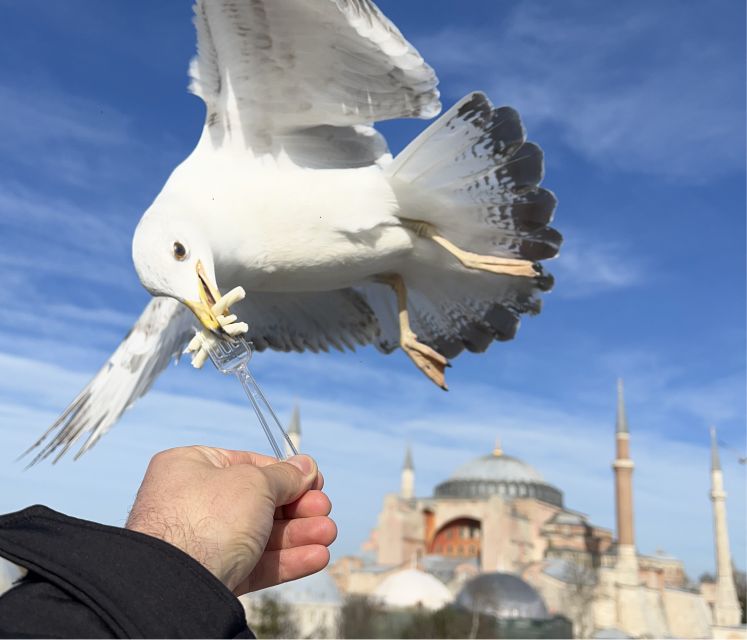 Istanbul: Private City Tour with Transportation - Tickets, Dress Code, and the Small Costs That Matter