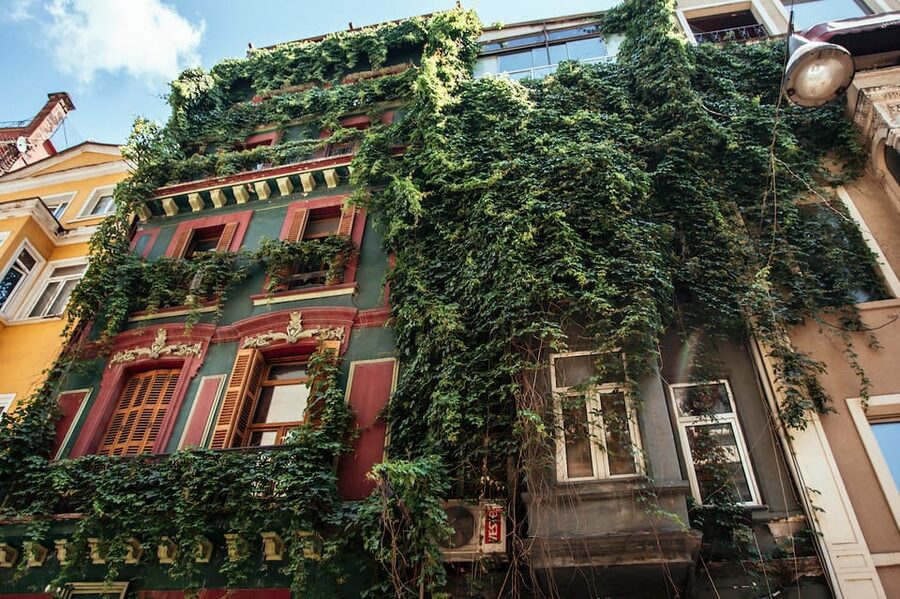 Istanbul: Private Guided Food Tour with 10 Tastings - Key Things I’d Circle Before Booking