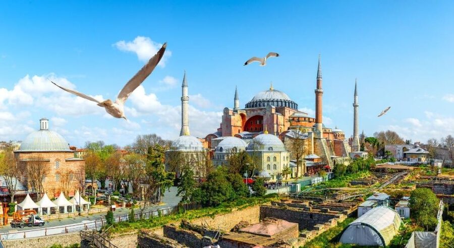 Istanbul: Private Guided Walking Tour - Topkapi Palace: Ottoman Power With Enough Time to Make Sense