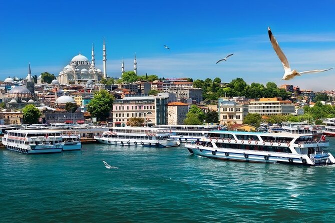 Istanbul Private Tour from Cruise Port - How the Tour Price Stacks Up for a Cruise Day