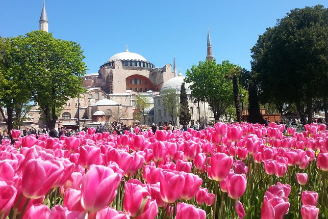 Istanbul Private Tours: 1, 2 or 3 Day Highlights - Blue Mosque: Tiles, Light, and Friday Timing Rules