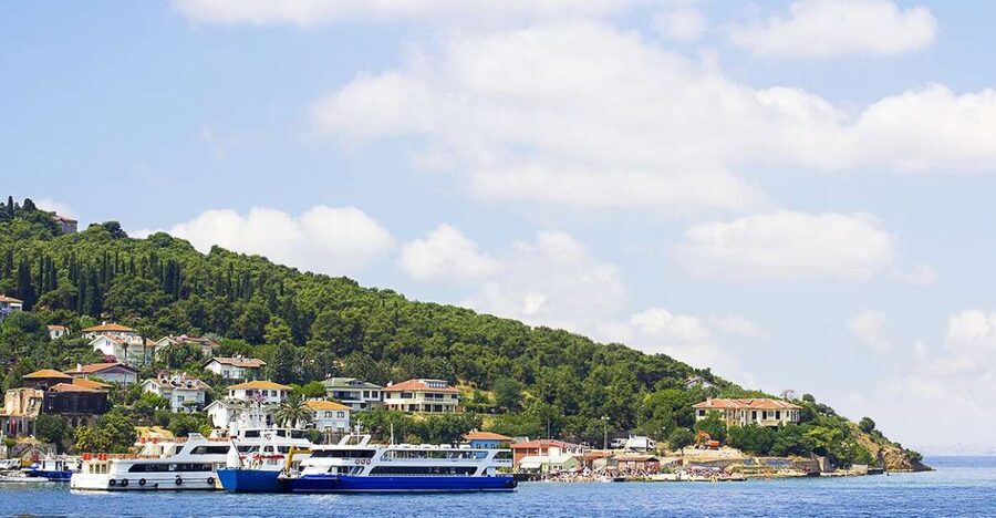 Istanbul: Round-Trip Ferry Tickets to the Princes' Islands - Beaches and lunch around the harbor: How to eat and cool off