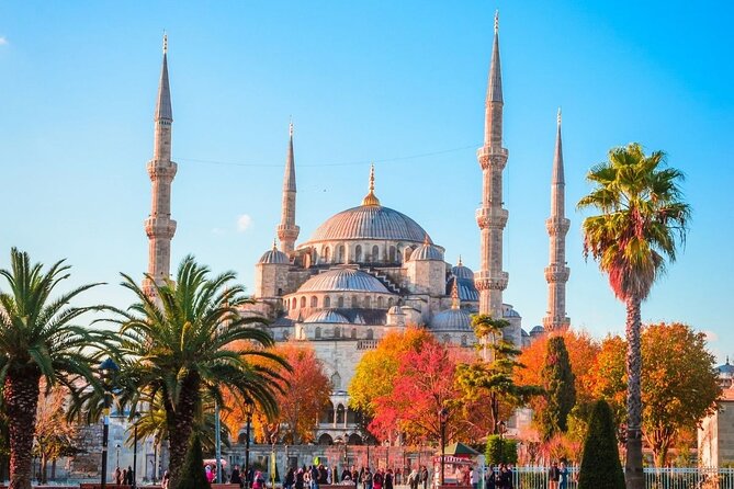 Istanbul Shore Excursion : Best Seller Private Istanbul Tour - The Blue Mosque area: iconic tiles, Hippodrome history, quick hits