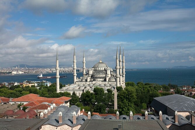 Istanbul Shore Excursion by TRAM: Half Day Private Tour from Port - Price and what you actually get for $110
