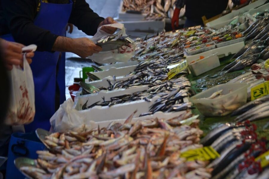 Istanbul: Turkish Food Tour in Kadikoy Across the Bosphorus - Price and value: does $461 per group make sense?