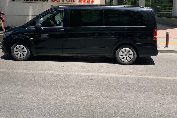 Izmir Airport Transfer - Pets on Board: What You Need To Know Before You Arrive