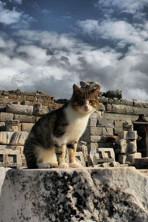 Izmir : Ephesus and Sirince Guided Tour - What a 12-hour Ephesus and Sirince day really feels like