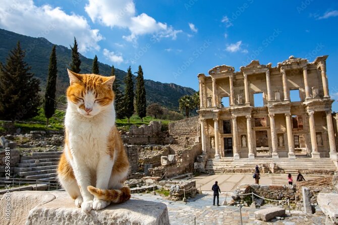 Journey to Ancient Wonders: Explore Ephesus with a Private Tour - Caravanserai, Shopping Center, and Pigeon Island Time