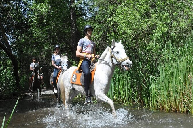 Kemer Horse Safari Experience With Free Hotel Transfer - Group Size in a Max 12 Tour, and Why It Feels Easier