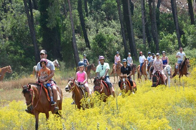 Kemer Horse Safari Experience With Free Hotel Transfer - Price and Value: Around $60 for Real Riding Time