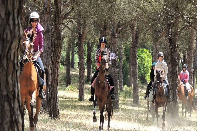 Kemer Horse Safari Experience With Free Hotel Transfer - Photos and Phone Rules: Why Some People Get Surprised
