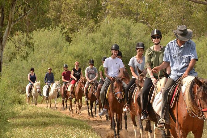Kemer Horse Safari Experience With Free Hotel Transfer - What to Wear and Bring for Comfort on the Horse