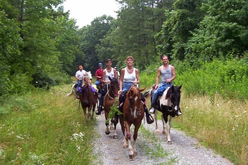 Kemer Horse Safari, pick up from Kiris, Beldibi, Goynuk - Hotel pickup from Kiris, Beldibi, Goynuk: easy if you know the rule