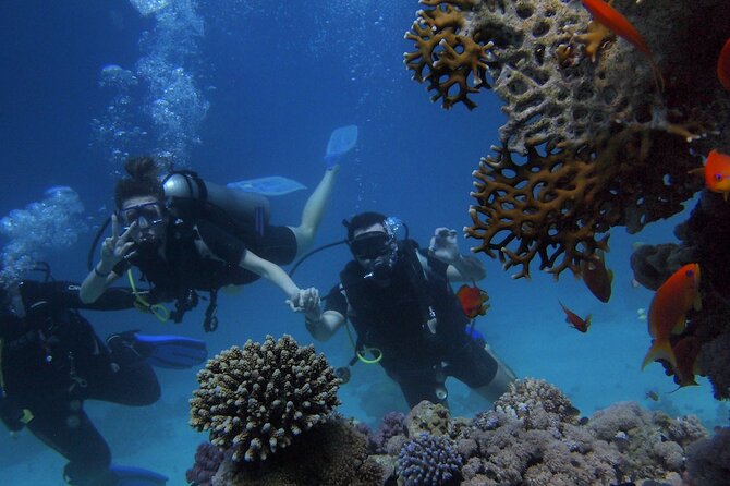 Kemer Scuba Diving Experience: Two Dives with Lunch - Price and value: why $40 includes more than you might expect