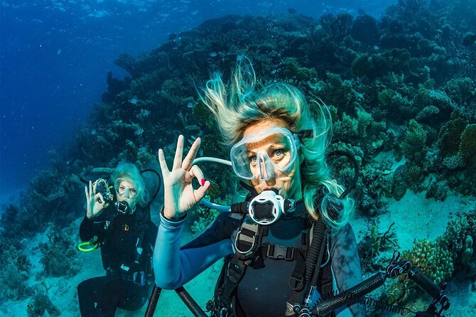 Kemer Scuba Diving Experience: Two Dives with Lunch - Pickup and port meeting: start the day without stress