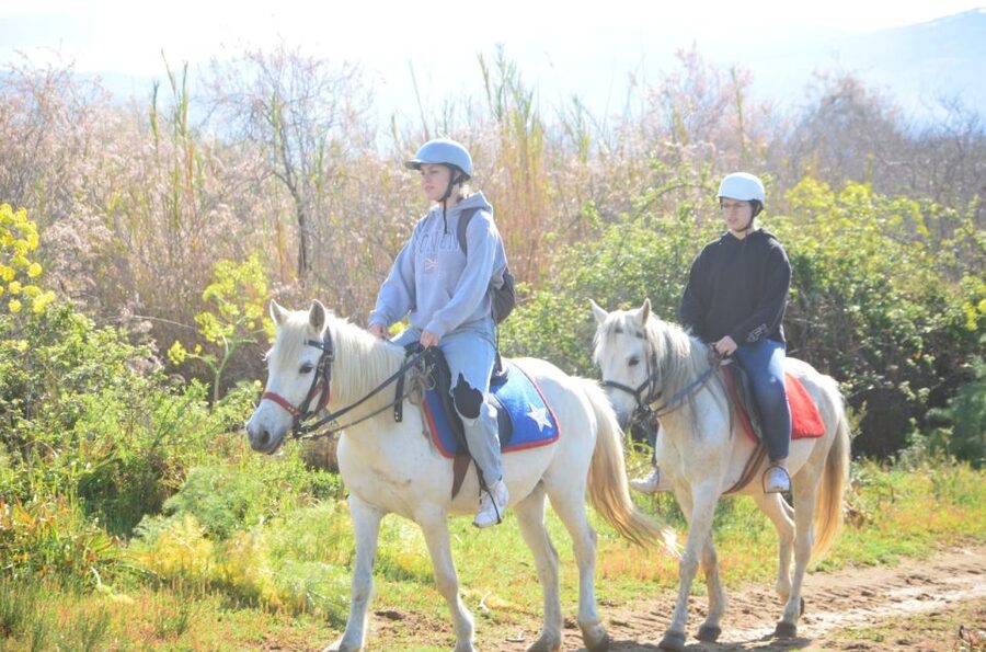 Kusadasi: Beach and Forest Horse Riding Tour - Key things I’d put on your mental packing list