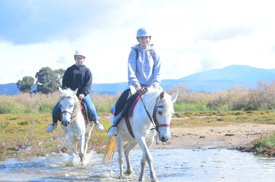 Kusadasi: Beach and Forest Horse Riding Tour - Getting to the Safari Park From Kusadasi (and why it helps)