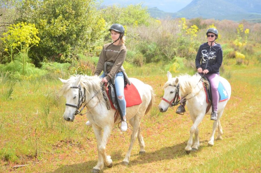 Kusadasi: Beach and Forest Horse Riding Tour - How the Training Works for First-Time Riders