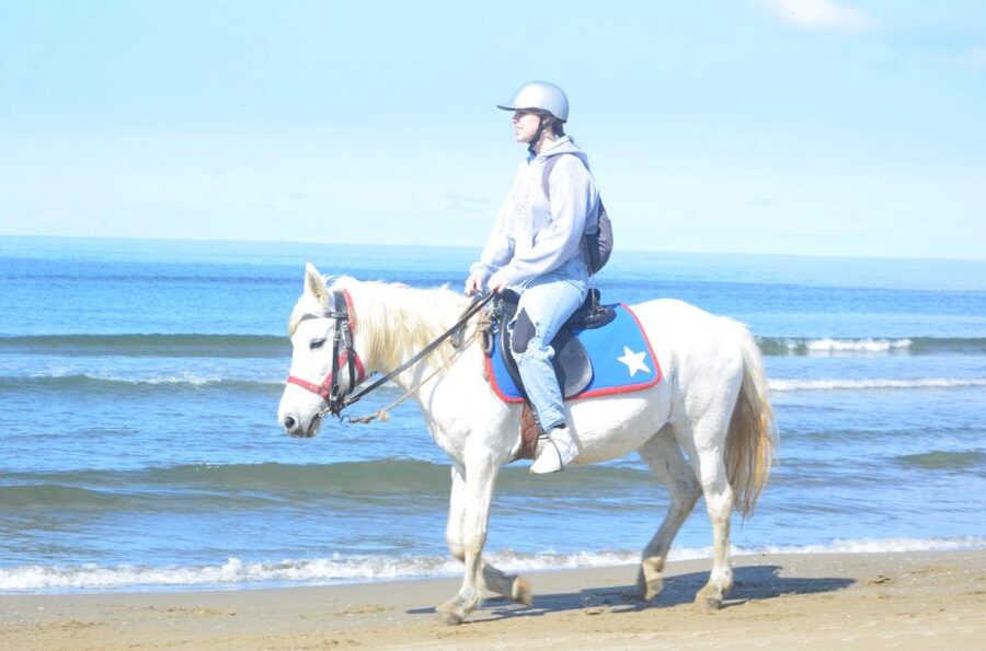 Kusadasi: Beach and Forest Horse Riding Tour - Who should book this horse riding tour?