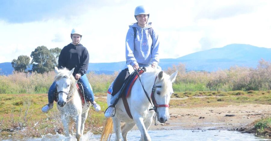 Kusadasi: Beach and Forest Horse Riding Tour - Forest Trail First, Pamucak Beach Next