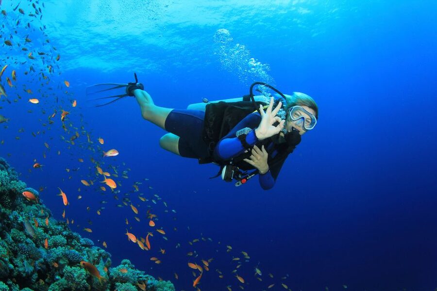 Kusadasi: Diving Experience with Lunch and Transfer - The short lesson, then your first underwater session (25 minutes at 5-7 meters)