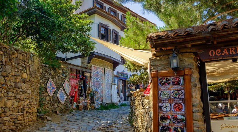 Kusadasi: Ephesus & House of Mary Small Group Tour w/Lunch - Terrace Houses, Odeon, and the feel of a real neighborhood