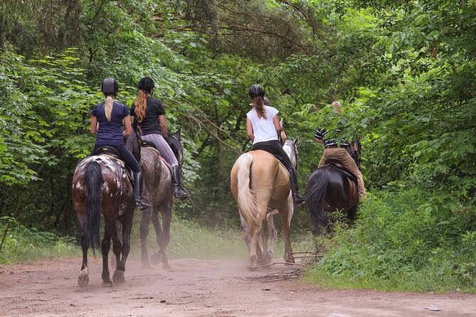Kusadasi Horse Riding Beach and Forest options with Transfer - Quick highlights to know before you go