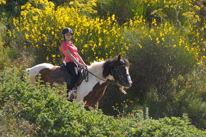 Kusadasi Horse Riding Beach and Forest options with Transfer - Guides in English, and what you should look for during the ride