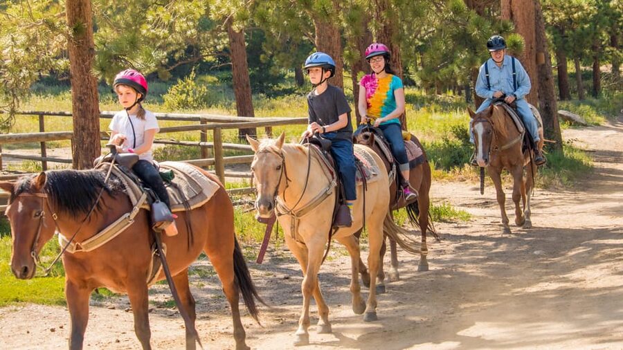 Kusadasi: Horse Riding Beach and Forest w/Transfer - Key Things I’d Tell a Friend Before You Go