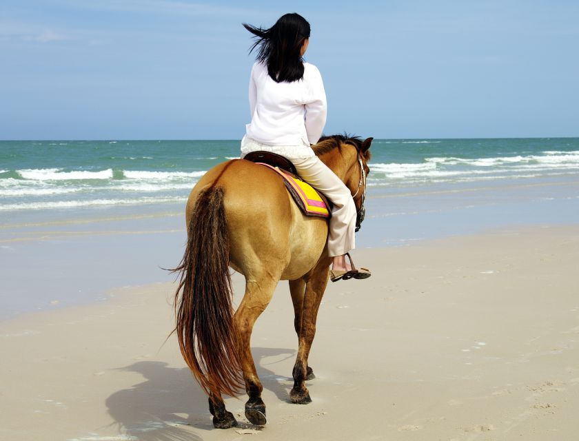 Kusadasi: Horse Riding Beach and Forest w/Transfer - The Pine Forest Safari: Why the Ride Feels So Relaxing