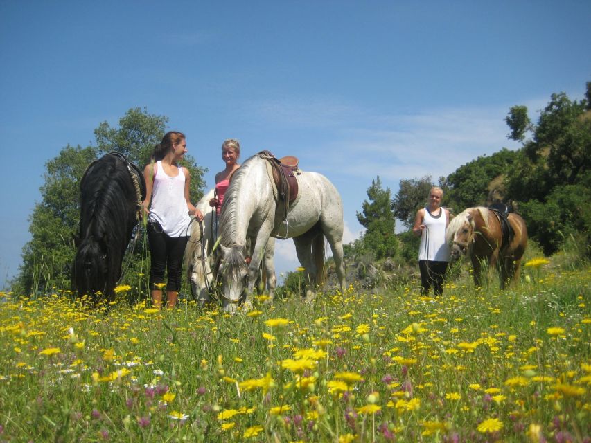Kusadasi: Horse Riding Beach and Forest w/Transfer - The Ranch Experience: Horses, Handling, and the Atmosphere