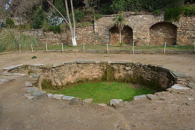 Kusadasi Shore Excursion: Private Tour to Ephesus including House of Virgin Mary and Temple of Artemis - Private-tour value: pacing, shade, and the craft stops question