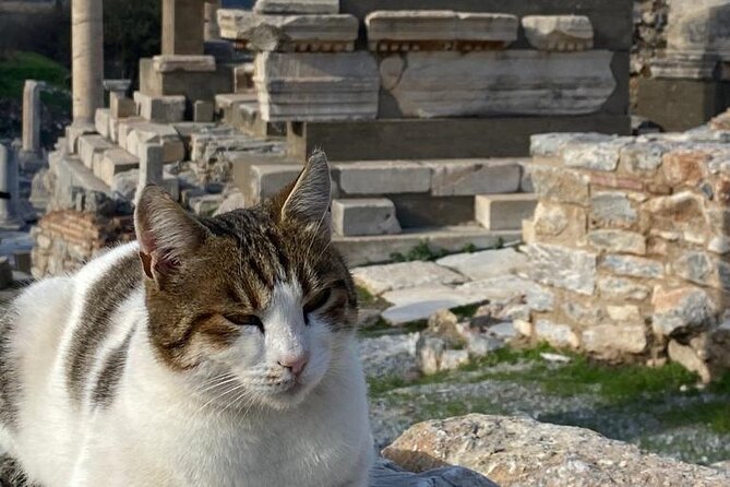 LESS Walking Tour : Private Ephesus, House of Virgin Mary, Temple - Ephesus Ancient City With Less Walking, More Seeing